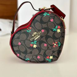 bag for women