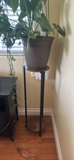 dark wood plant stand