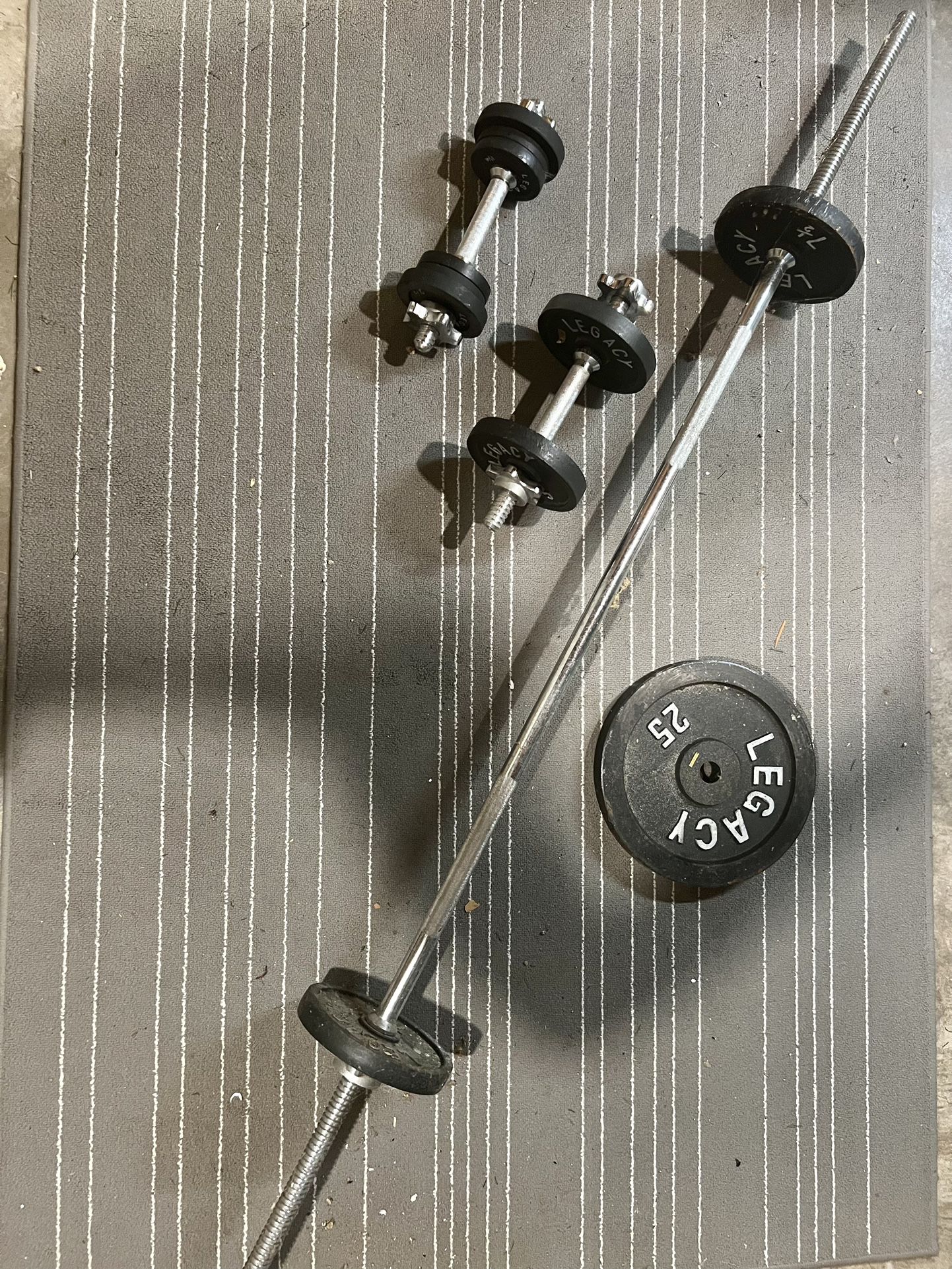 Cast Iron Free Weights + Bars