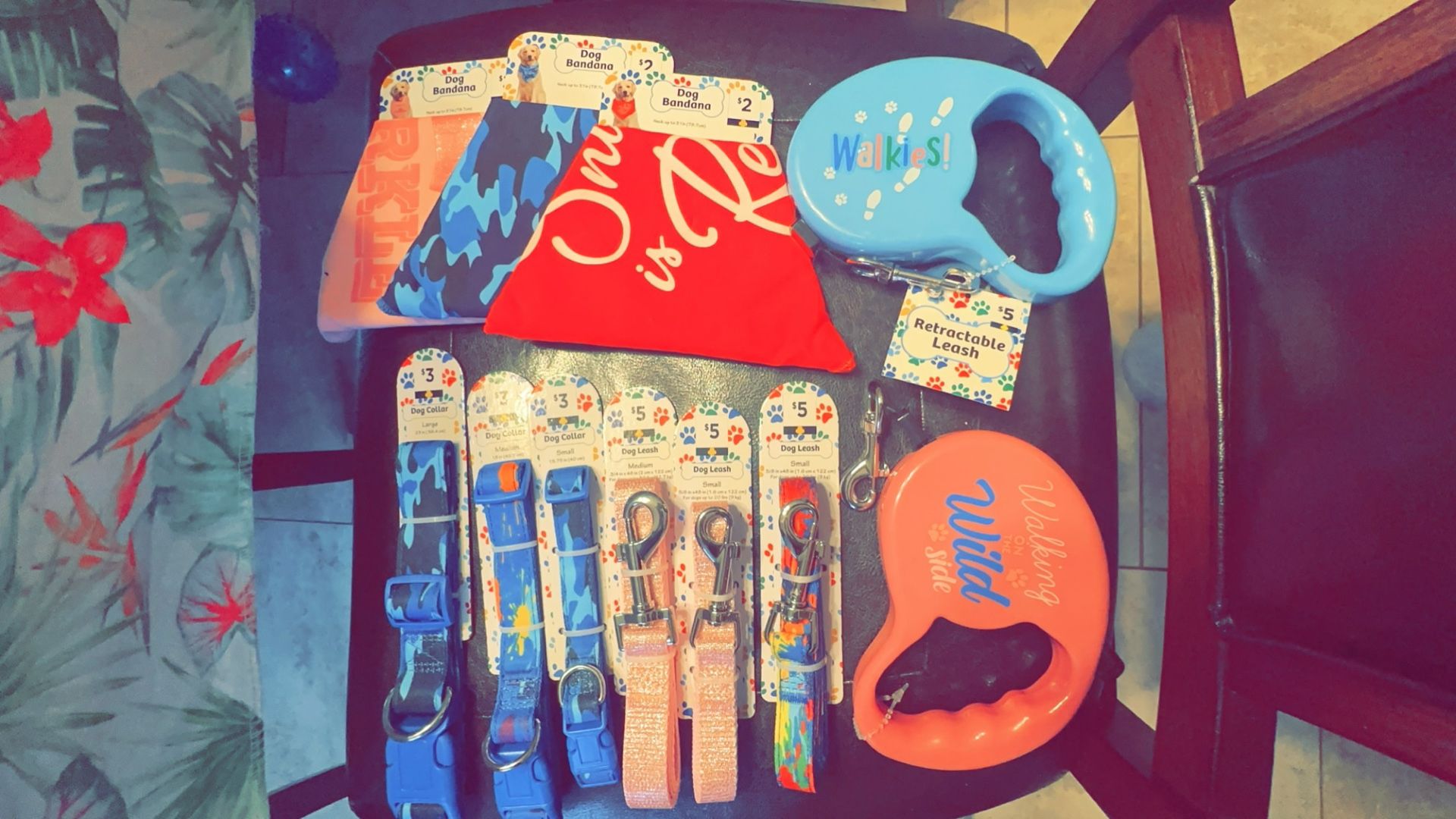 Dog Collars 