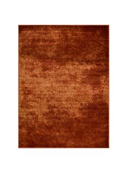 8’x10’ Rust color rug