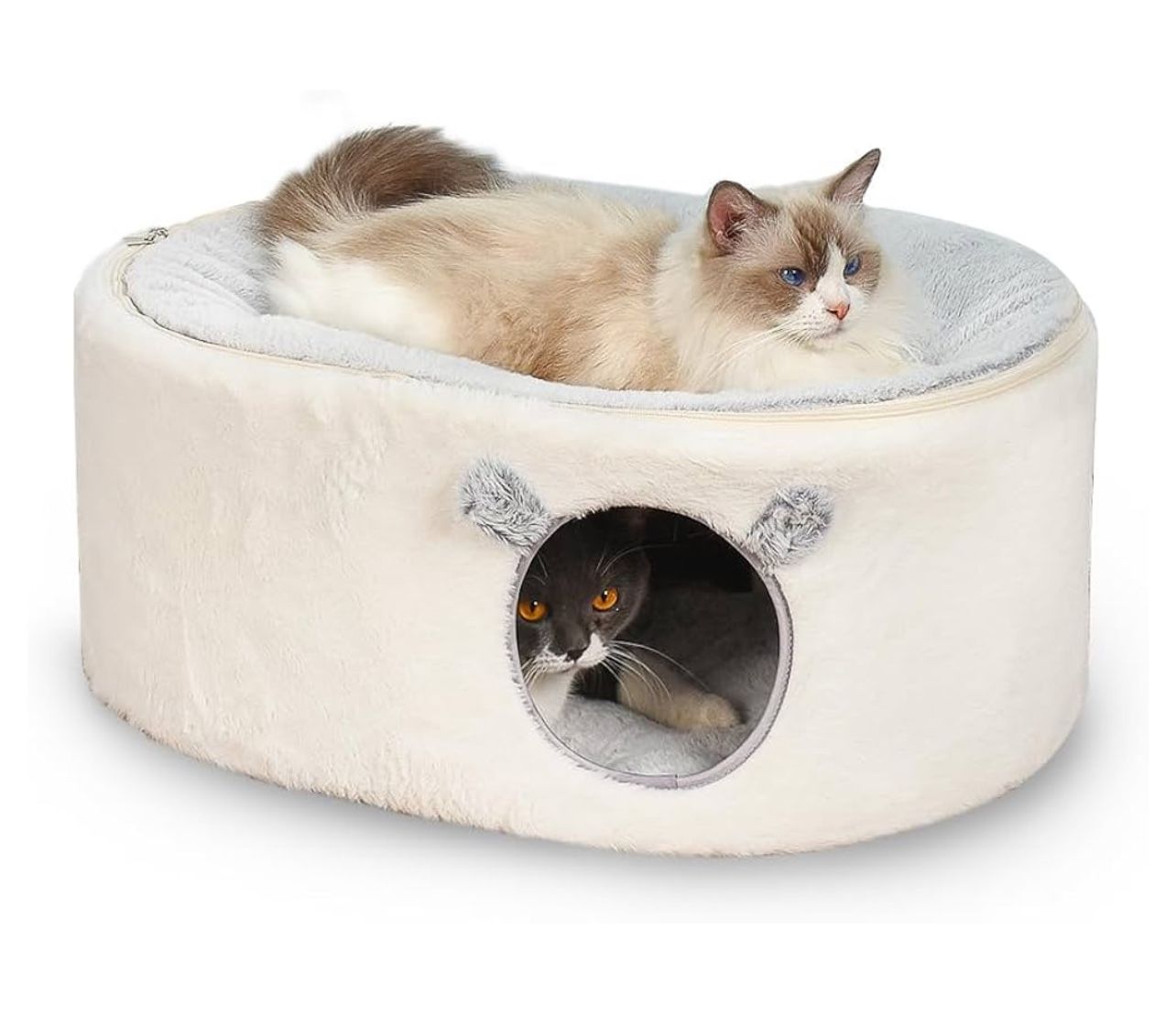 Zoratoo Closed Cat House