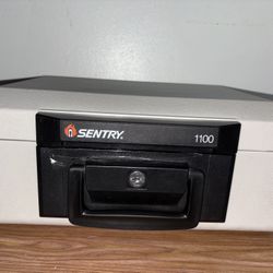 SentrySafe 110 Fireproof box