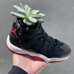 Clay Pot Plants Succulents Custom Made !