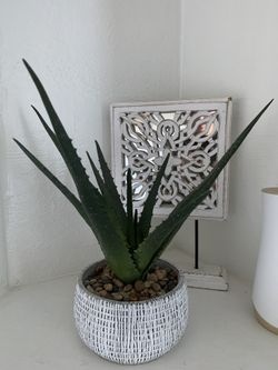 Fake aloe plant