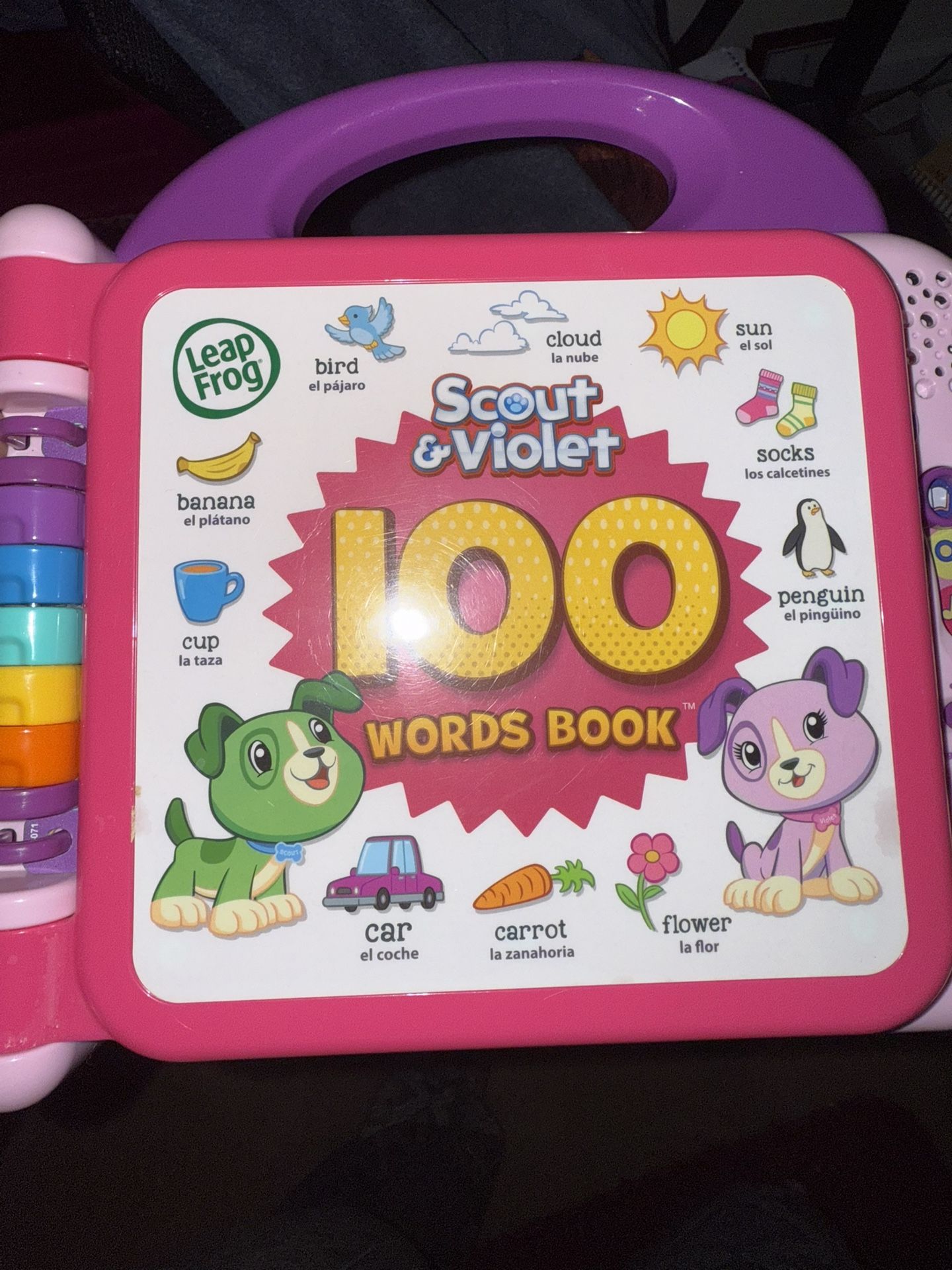 Leap Frog Learning Toy
