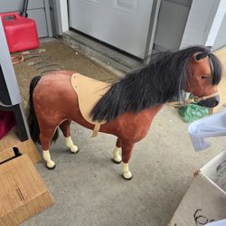 American doll pony
