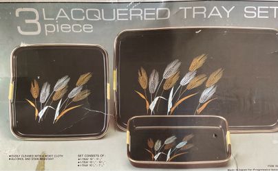 New  3 piece black tray set