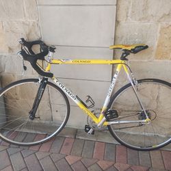 Colnago Tecnos Competition Campagnolo Road Bike