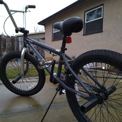 Grey Mongoose rebel.