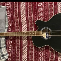 Ibanez Guitar