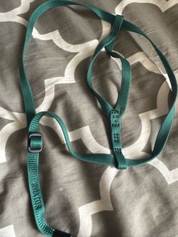 Aviator Flight Harness for Bird