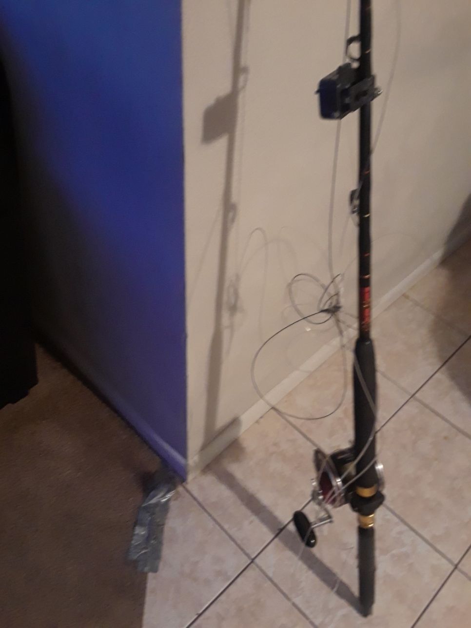 Penn 113 HZ Big Fish Pole With Reel