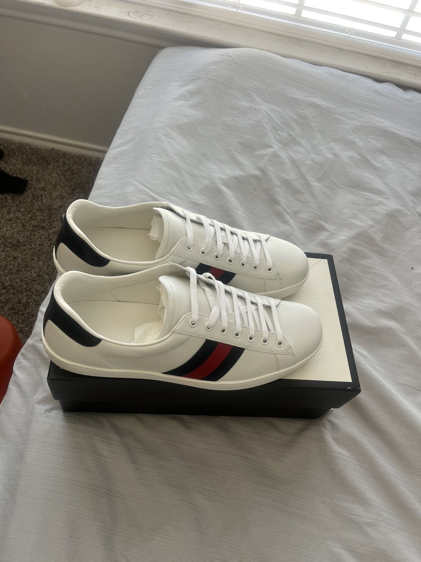 Gucci Ace Size 13