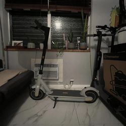 Ninebot Scooter Kickscooter