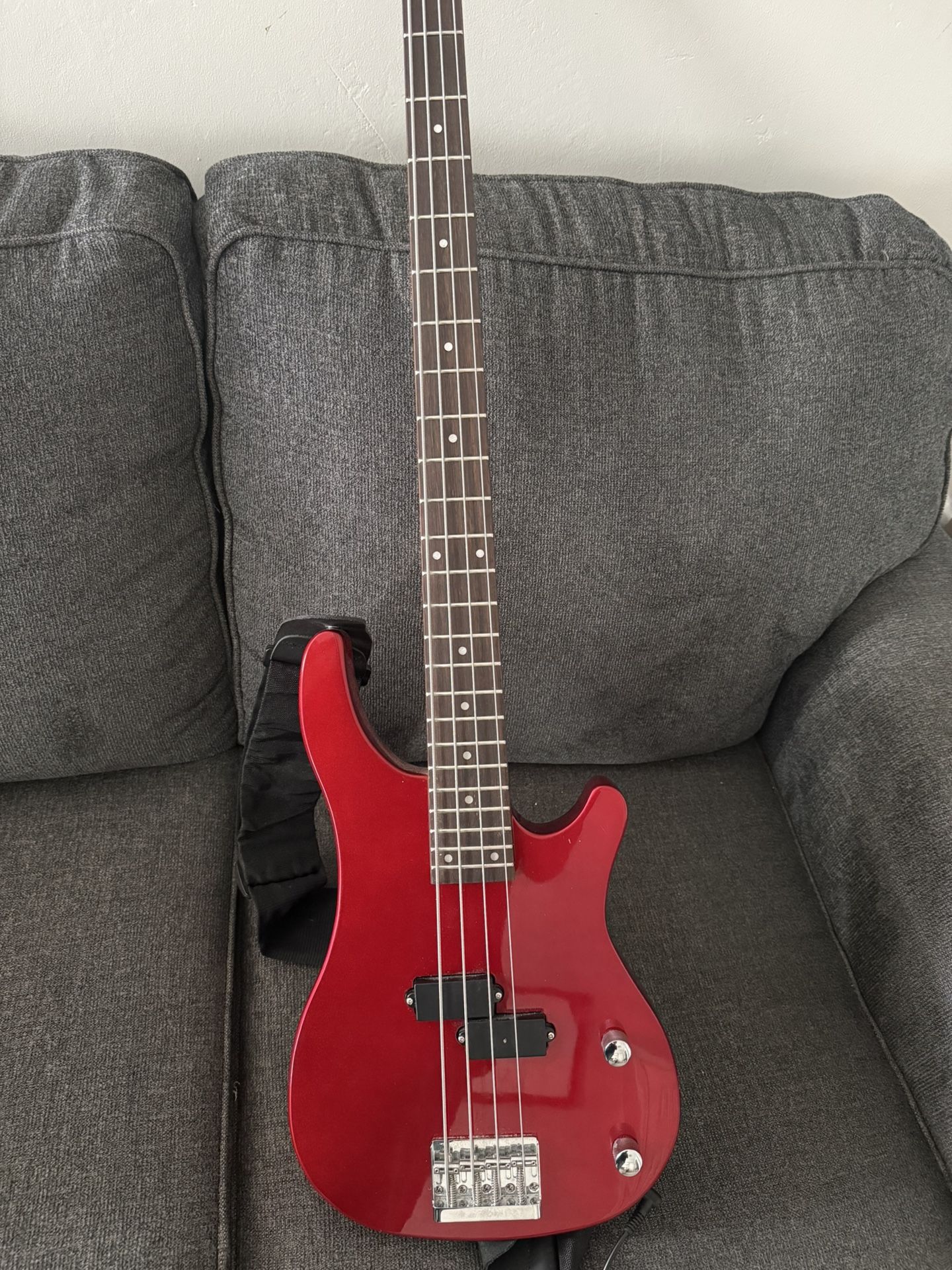 Electric Bass Guitar