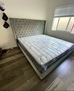 Brand New Queen Size Bed Frame and Mattress