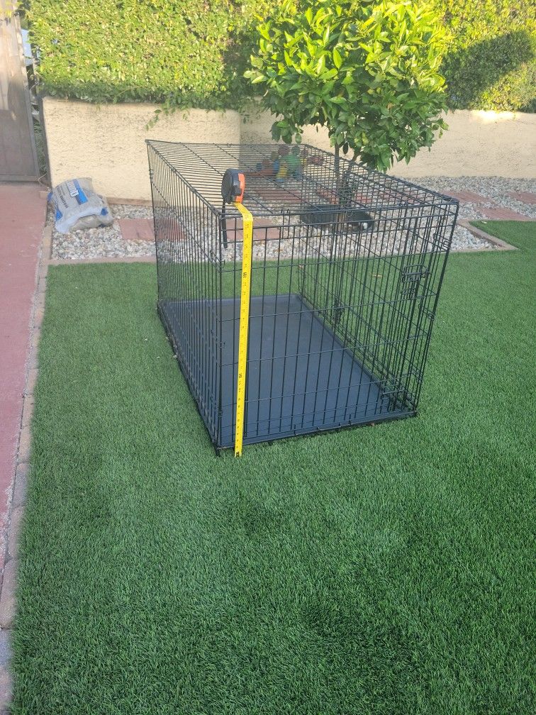 Dog Kennel
