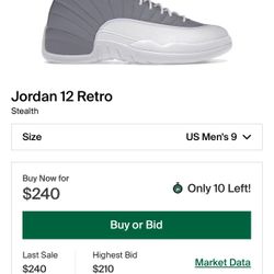 Jordan 12 Stealth 