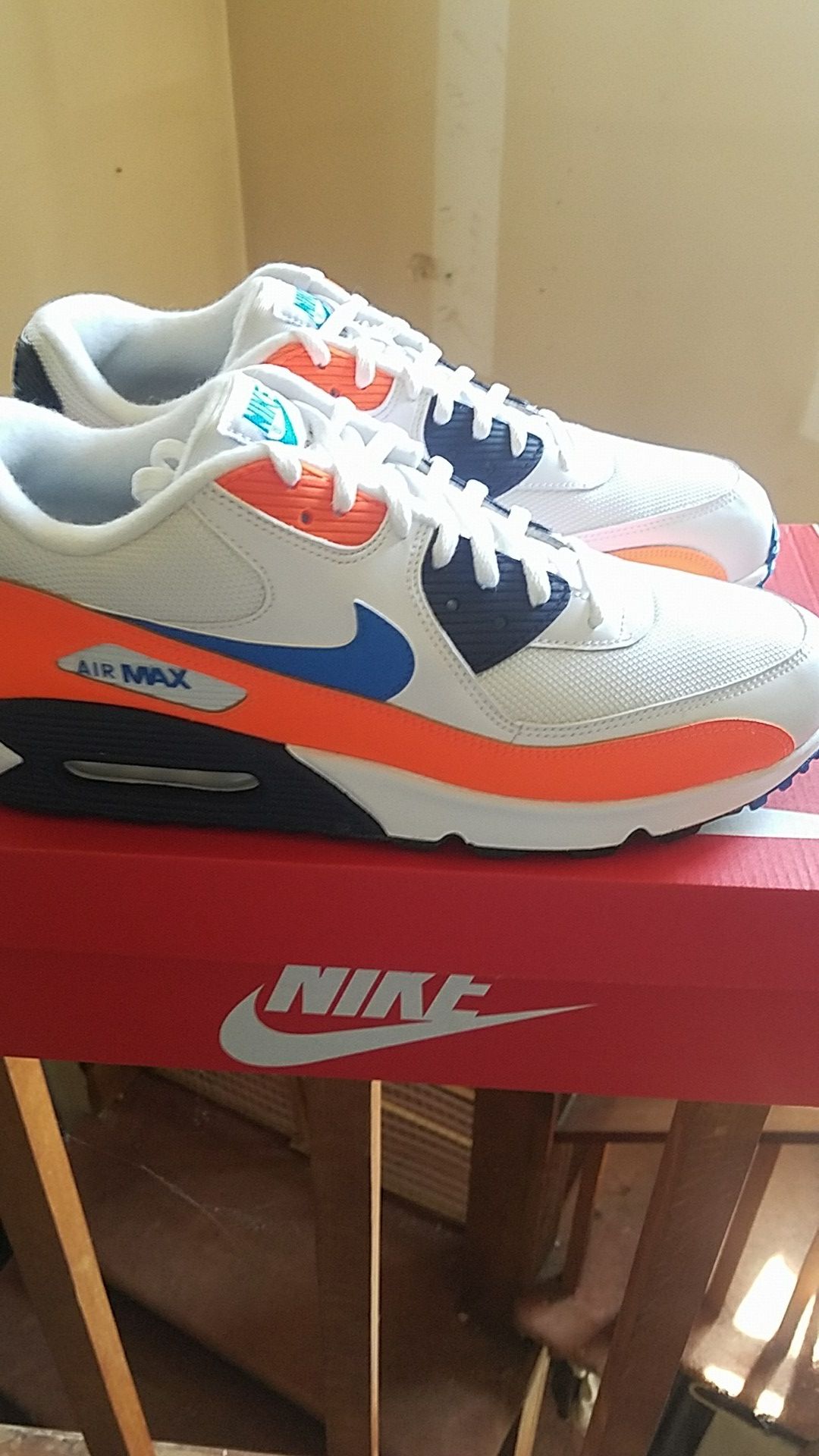 Brand new Nike Air Max shoes