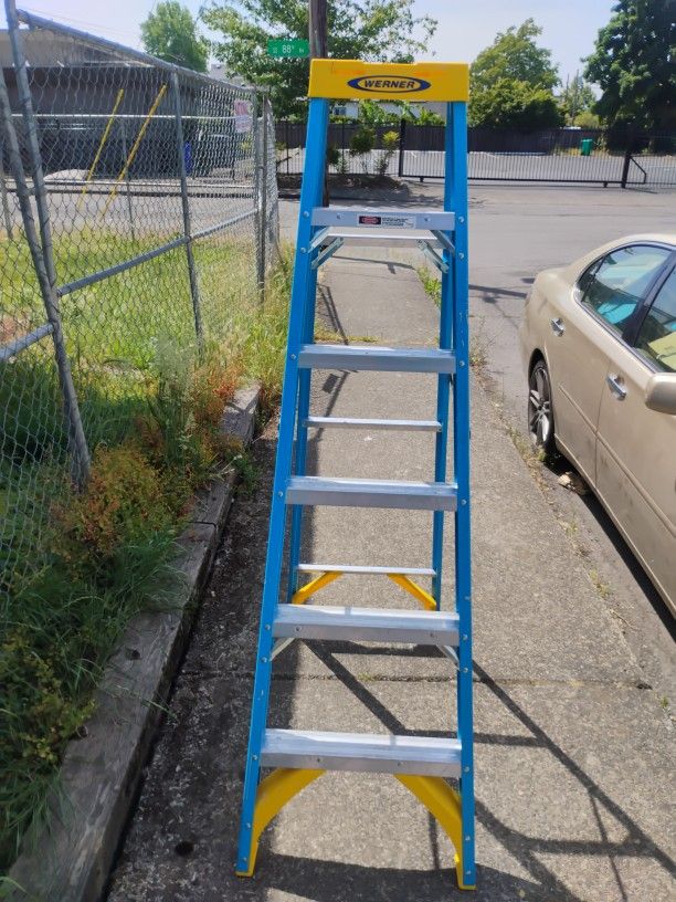 6ft Fiberglass Werner Ladder