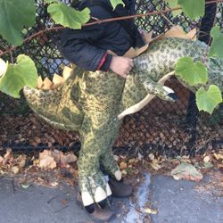 Dinosaur Rider Costume 4-6 yr