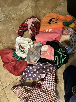 Dog puppy girl clothes