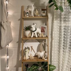 Bamboo Ladder shelf