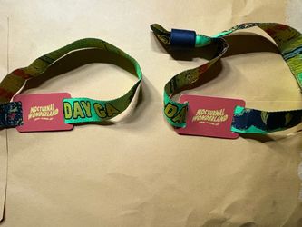 Nocturnal Wonderland 2 Day GA (Only 1 Ticket)