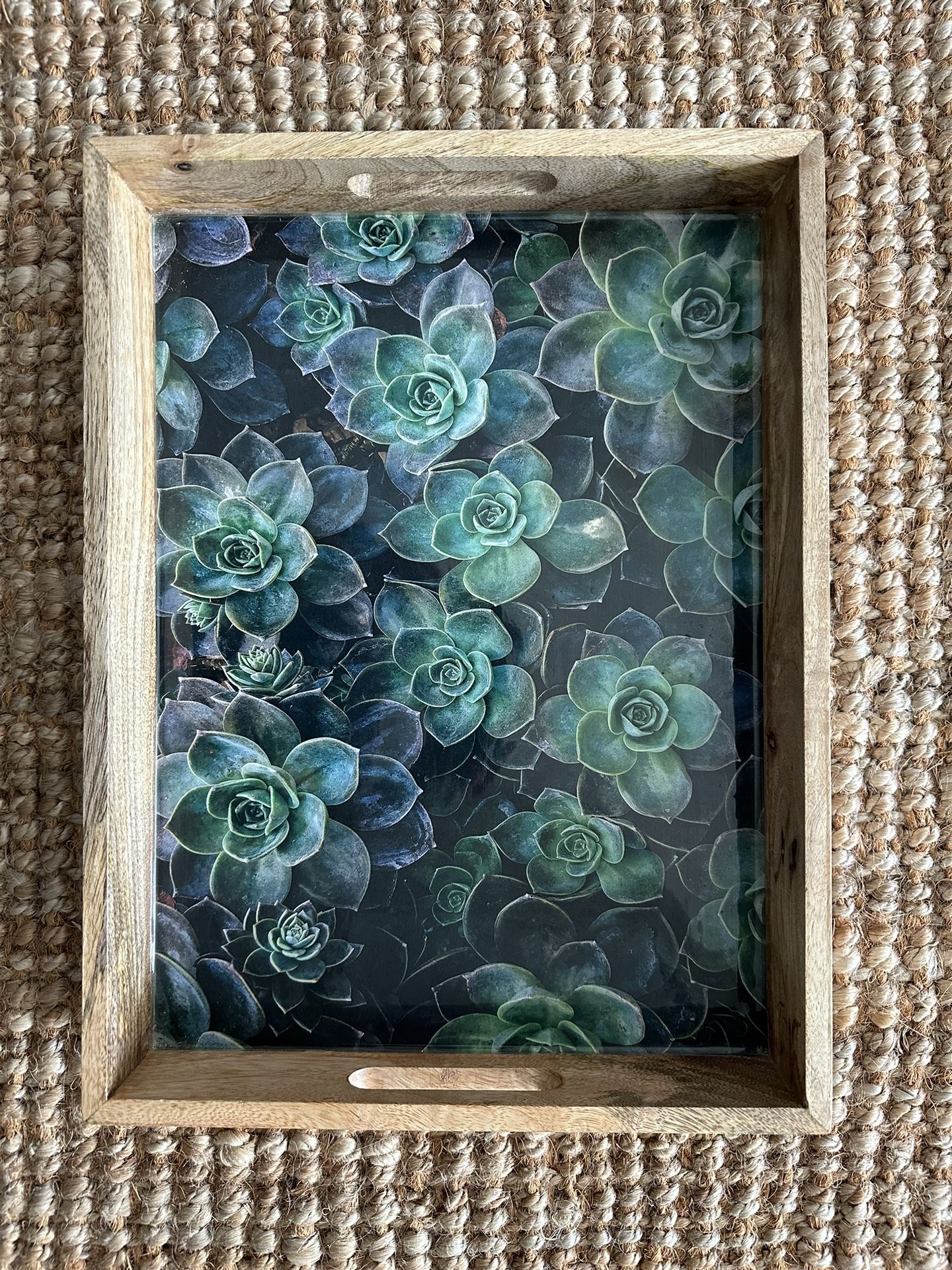 Succulent Printed Serving Tray