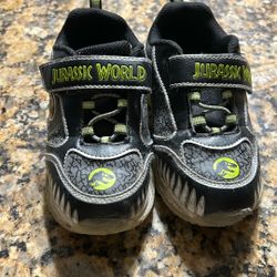 Dinosaur Shoes