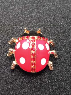 Ladybug Brooch