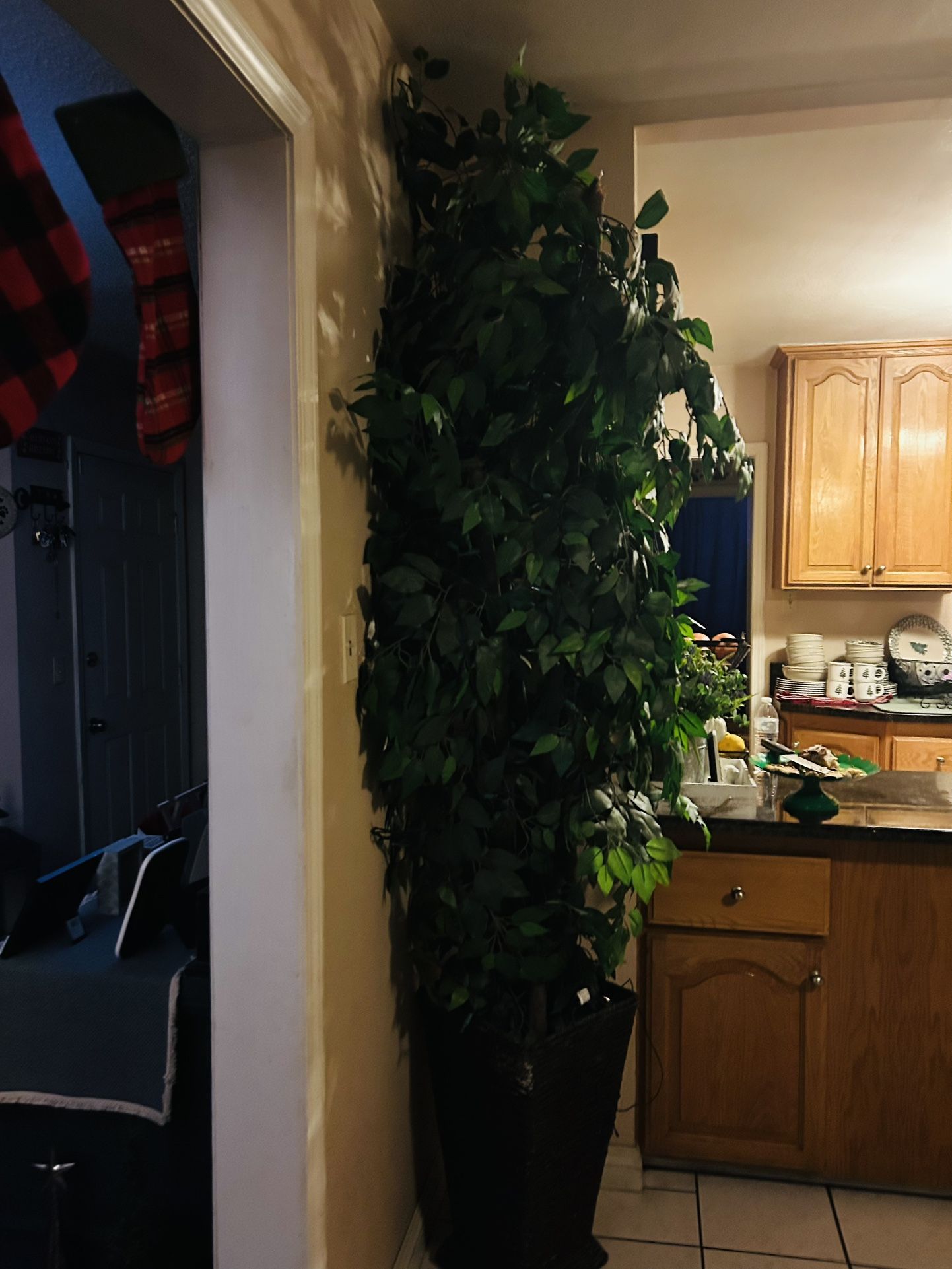 Fake Big Tree$ 20.00$