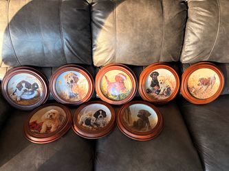 Framed Bird dog painted plate collection