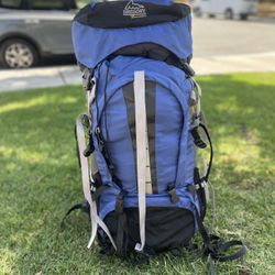 Backpack Travel Gregory Forester!