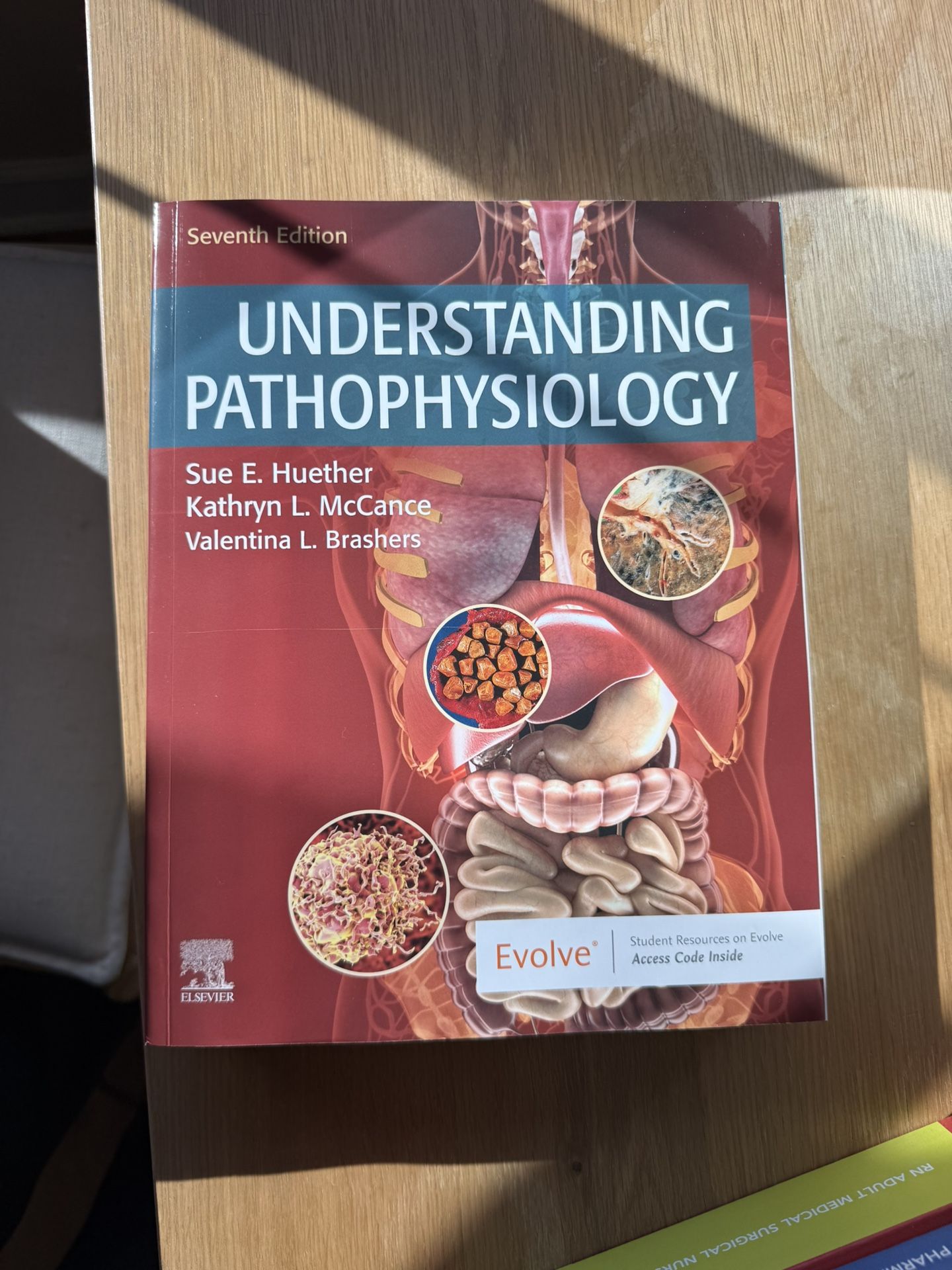 Understanding Pathophysiology 7th Edition