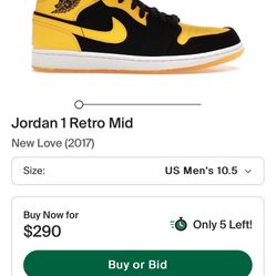 Jordan 1s New Love 