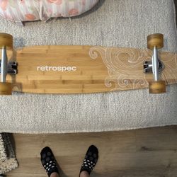 Long Board Skate Board