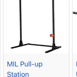 Used Rogue pull Up Bar