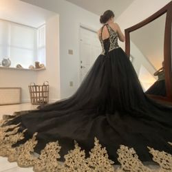 Quinceanera/Quince Dress