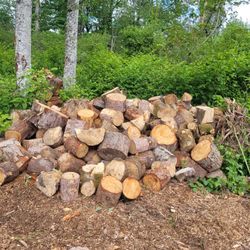 Firewood Rounds 
