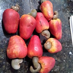 Cashew Fruit/maranon/caju 