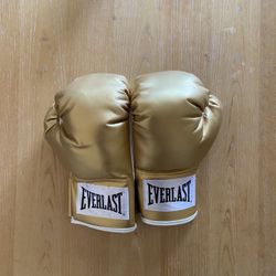 Everlast Gold Boxing Gloves