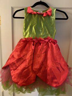 Tulip Garden Fairy Kids Costume From Target Medium