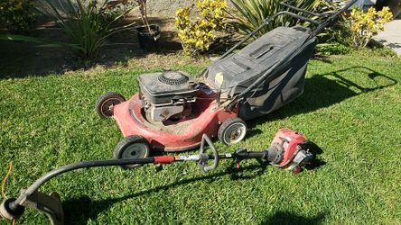 Lawnmower and weeder