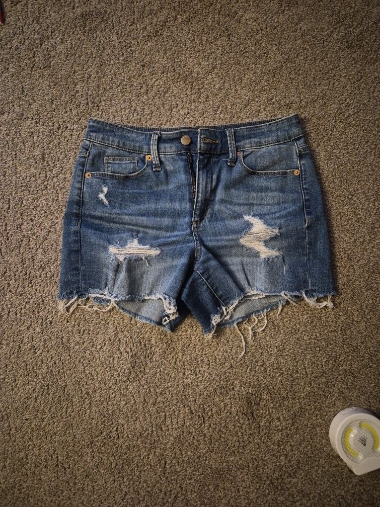 Women's Shorts