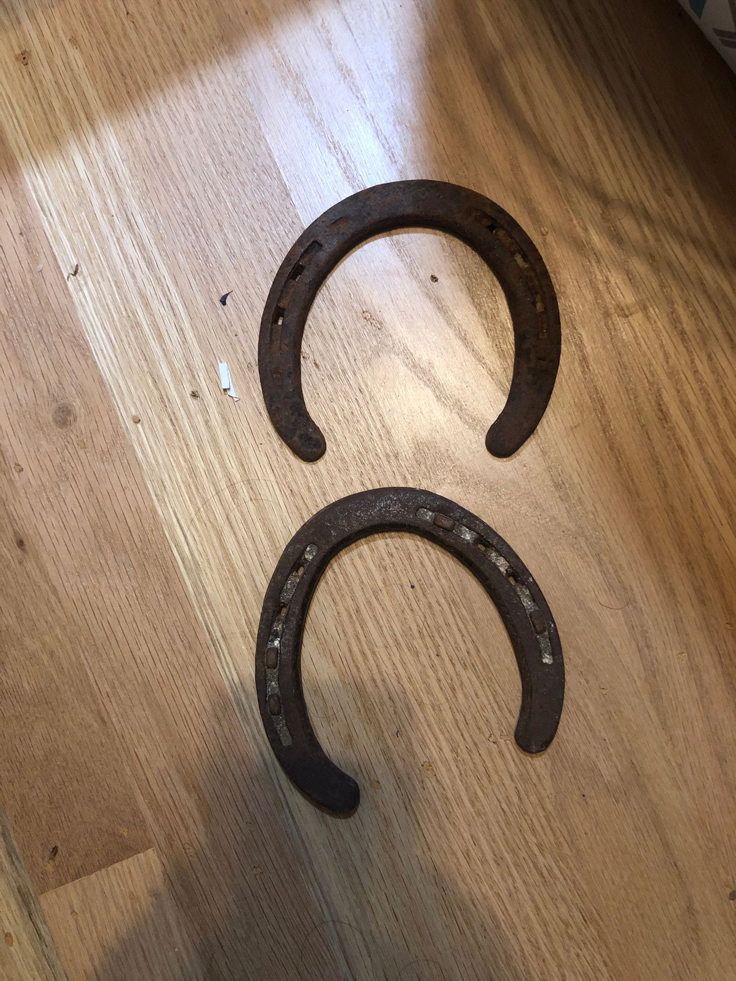 Old horse shoes