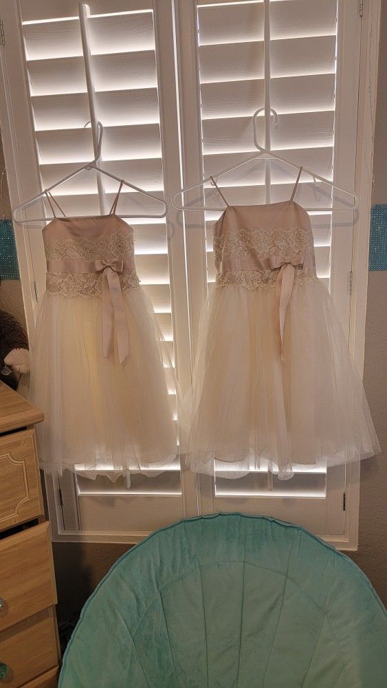 2 Flower Girl Dresses