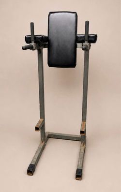 Vertical Knee Raise / Dip Station
