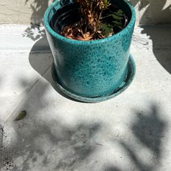 Ceramic Pot